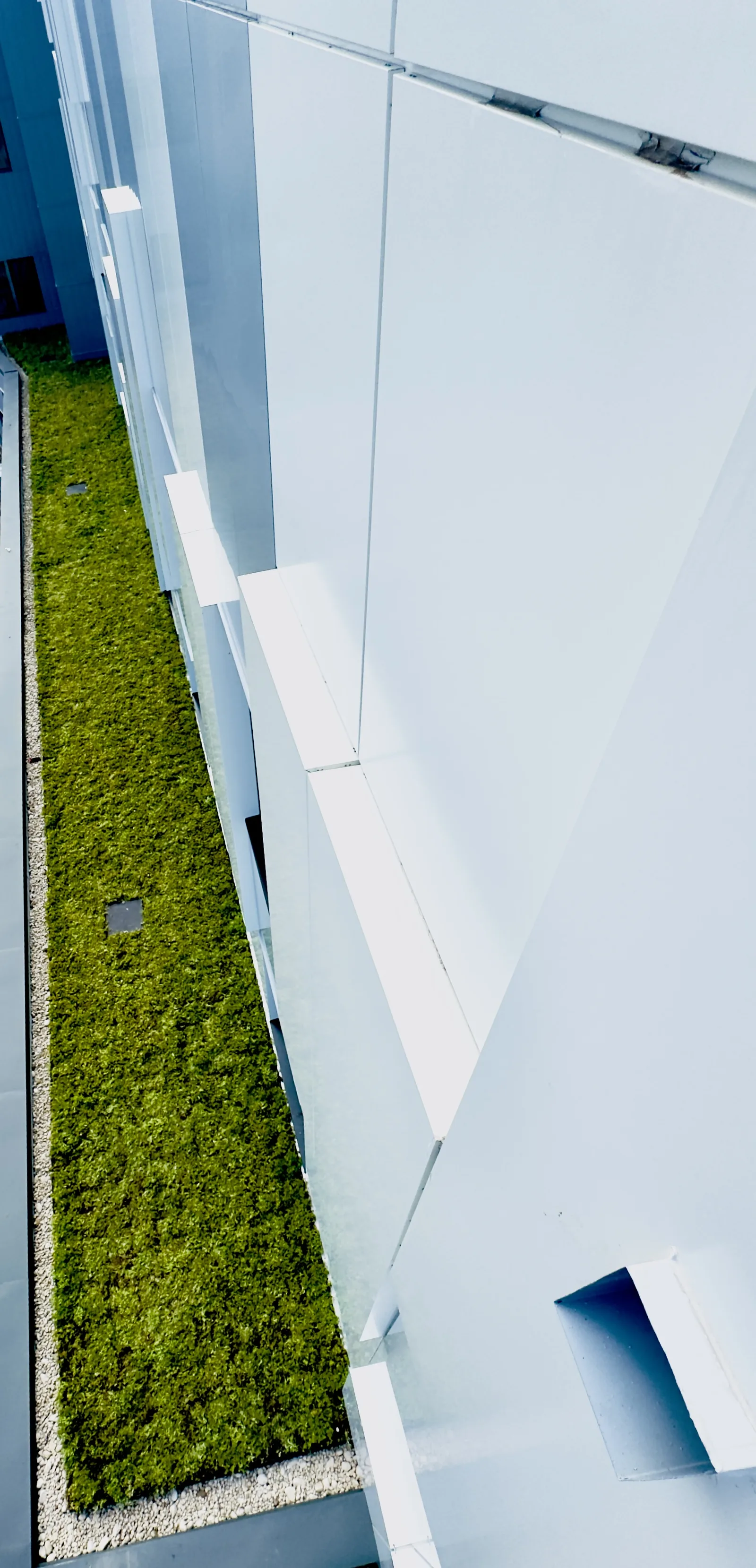 Green Roofing