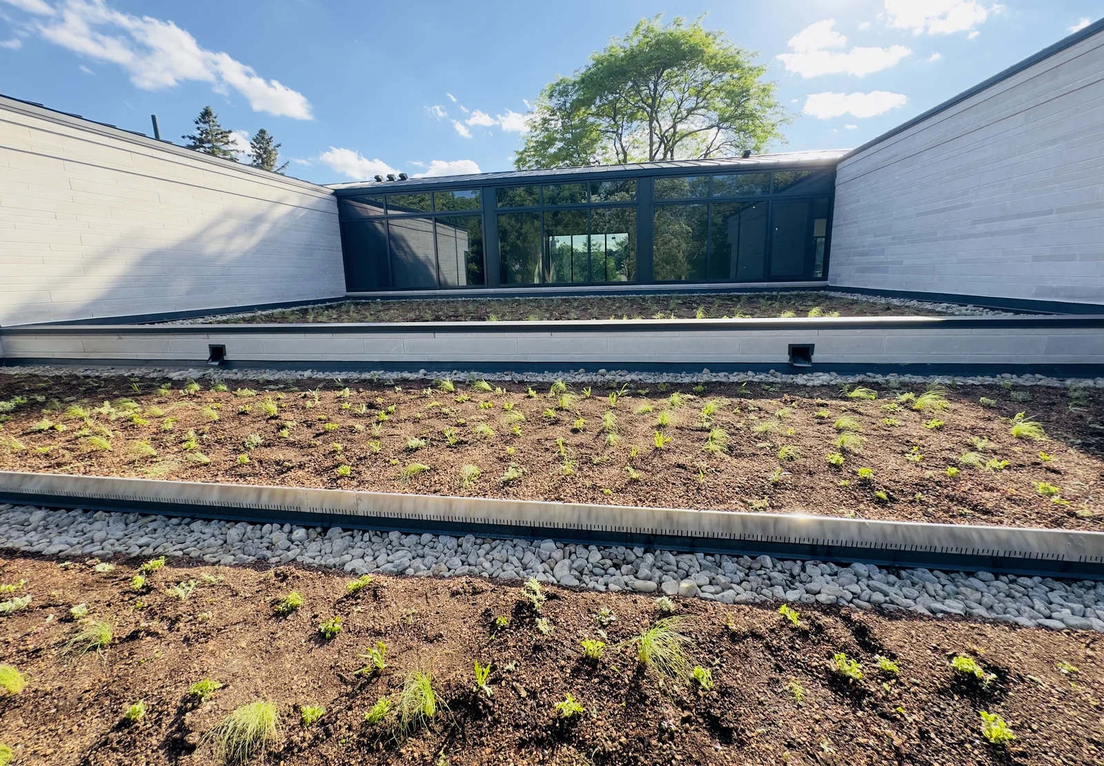 Green Roofing Maintenance