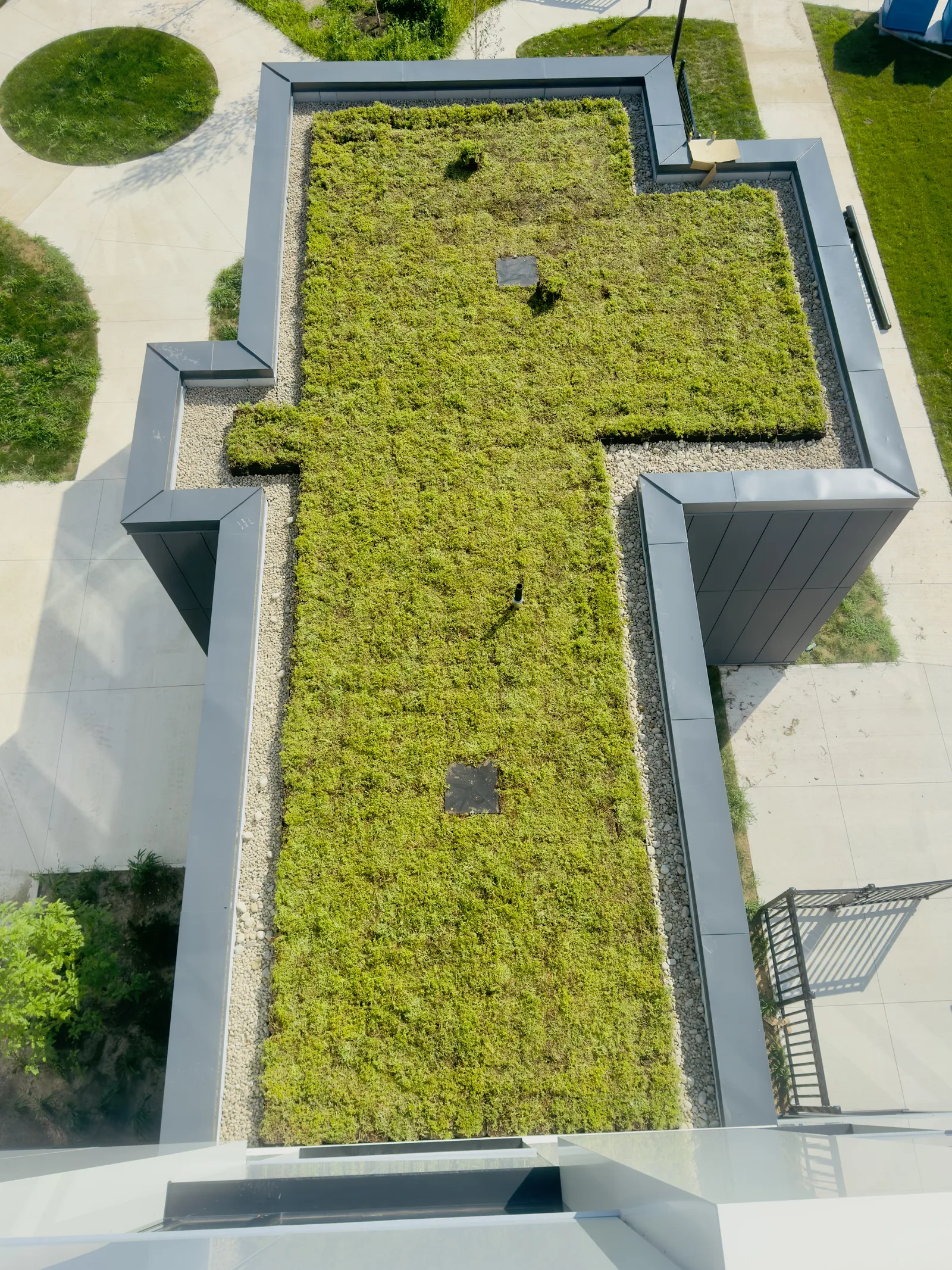 Green Roofing